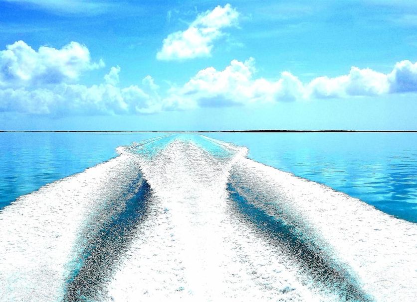 Altro Foto