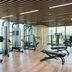 Palestra