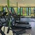 Palestra