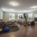 Palestra
