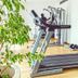 Palestra