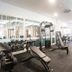 Palestra