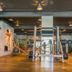 Palestra