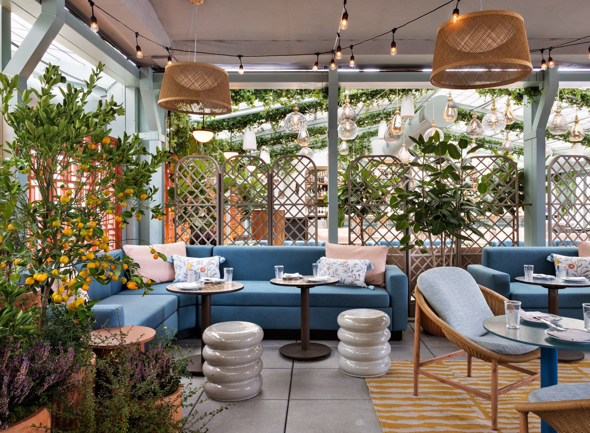 Area lounge