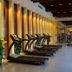 Palestra