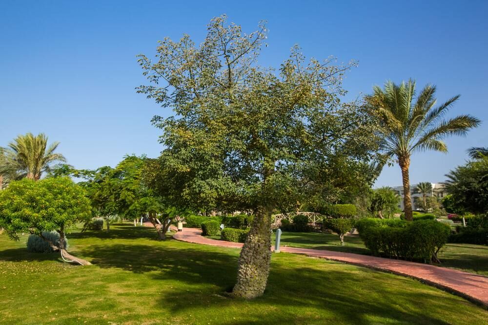 Vista esterna