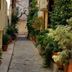 Vista esterna