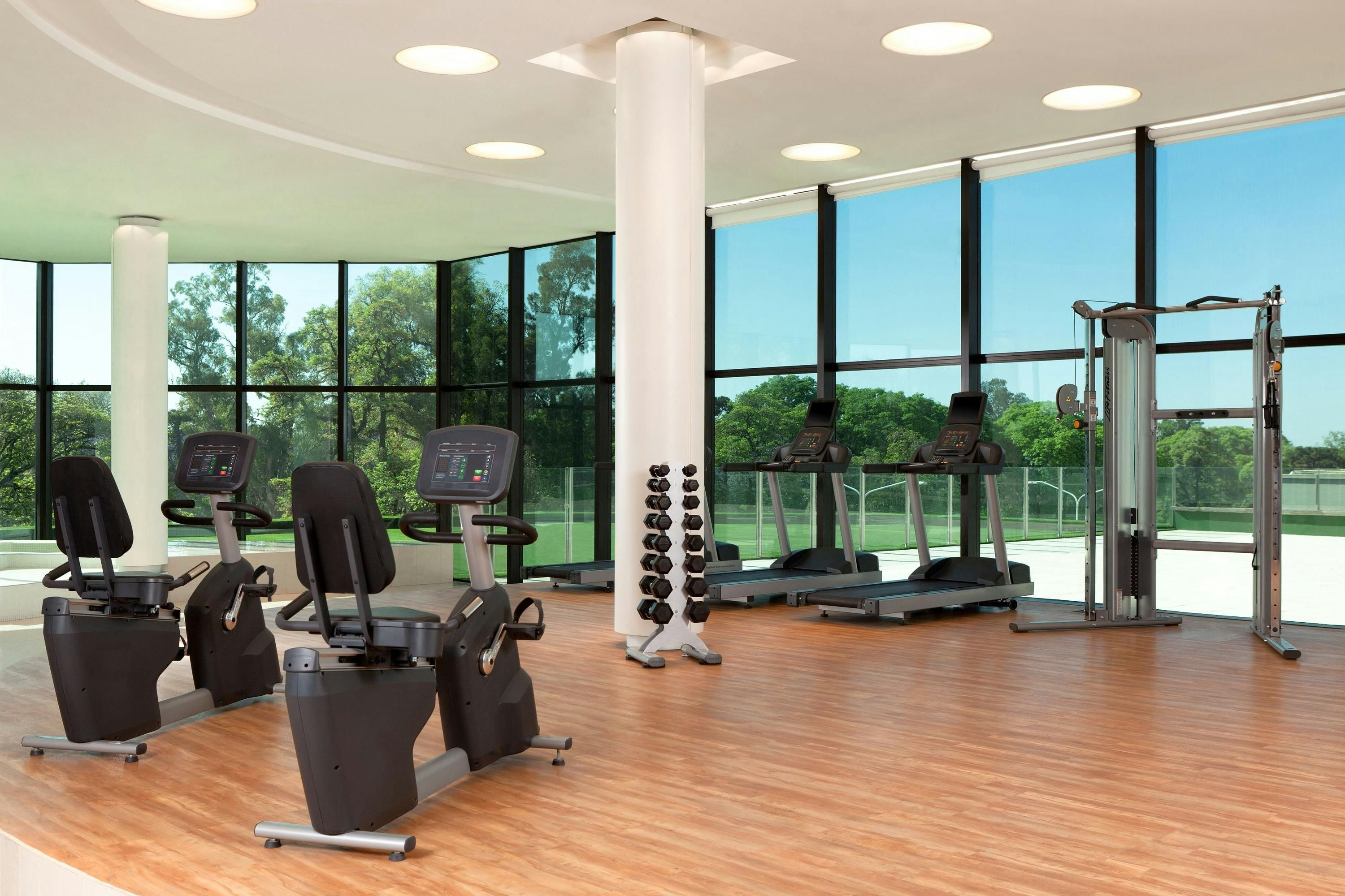 Palestra