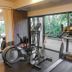 Palestra