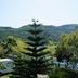 Vista esterna