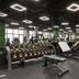 Palestra