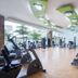 Palestra