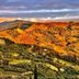 Vista esterna