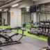 Palestra