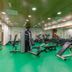 Palestra