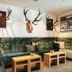 Area lounge