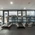 Palestra