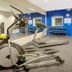 Palestra