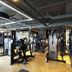 Palestra