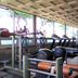 Palestra