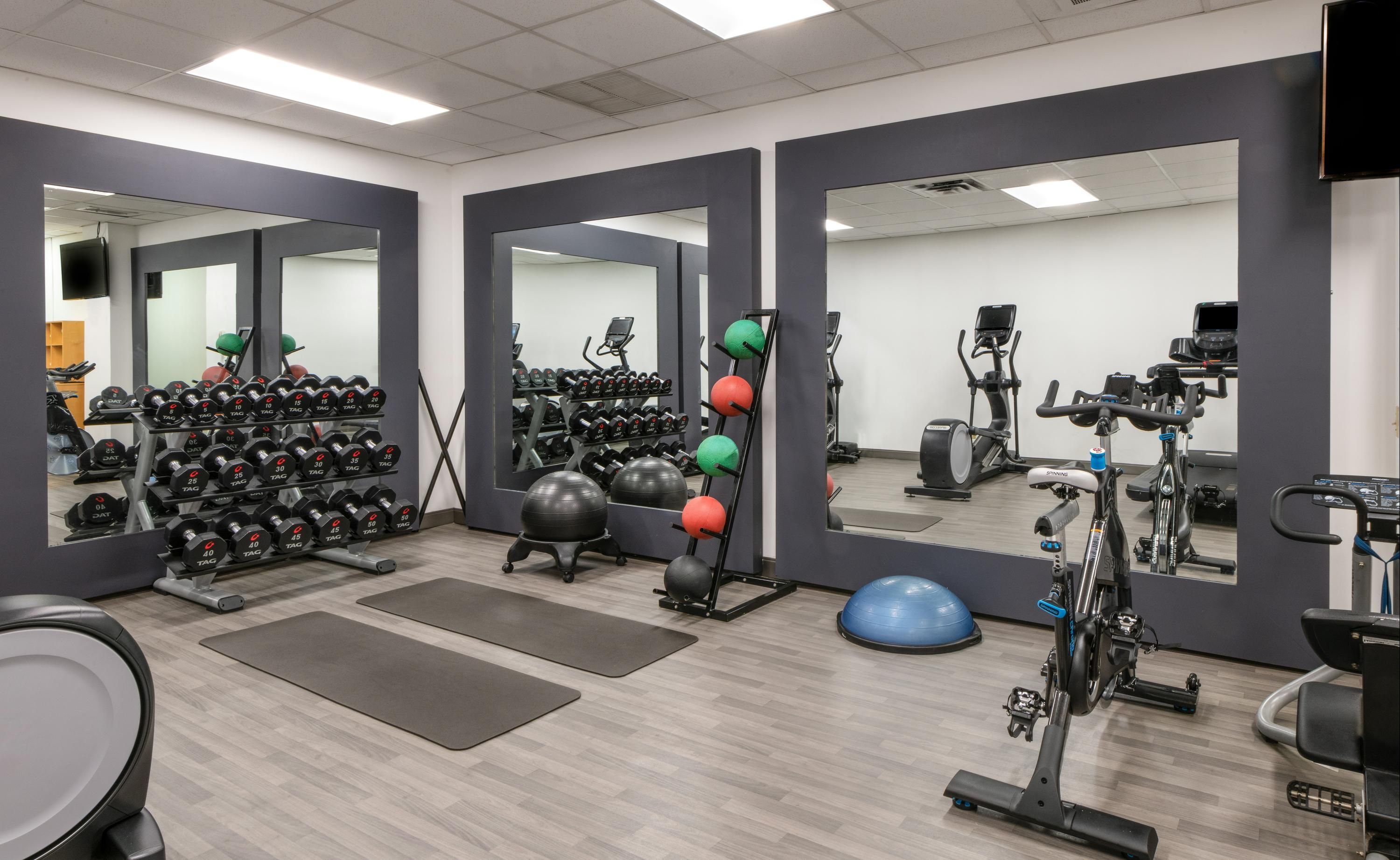 Palestra