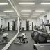 Palestra