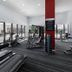Palestra