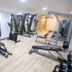 Palestra