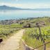 Vista esterna