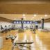 Palestra