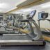 Palestra
