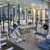 Palestra
