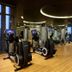 Palestra