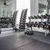 Palestra