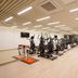 Palestra