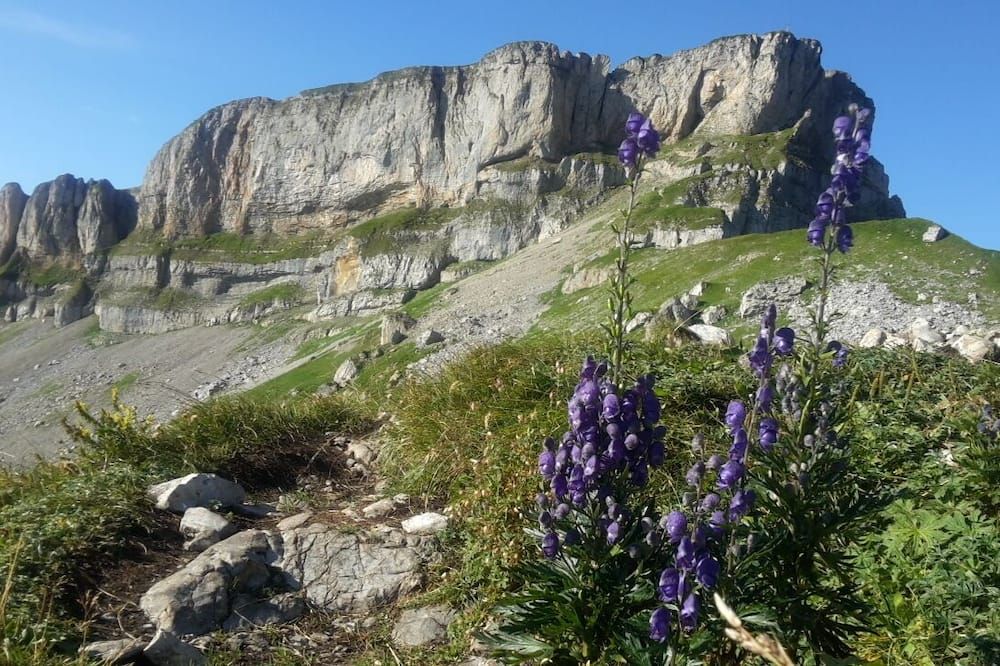 Vista esterna