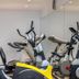 Palestra