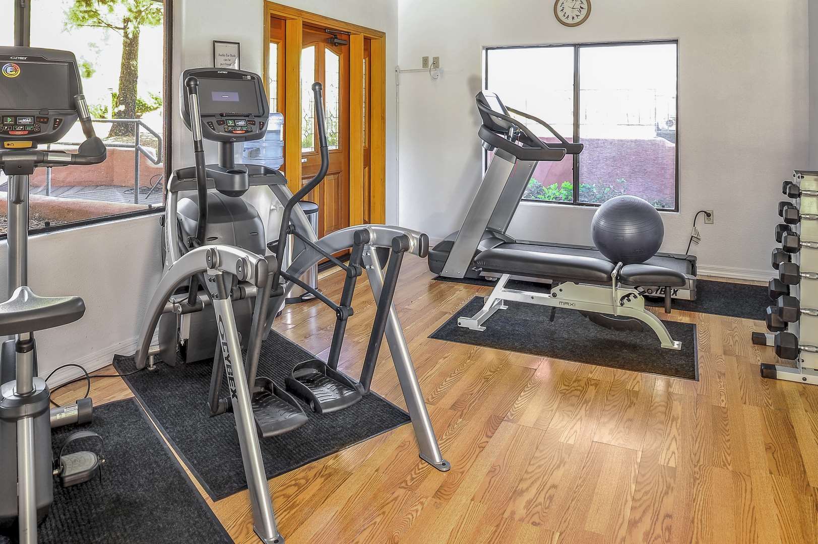 Palestra