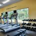 Palestra