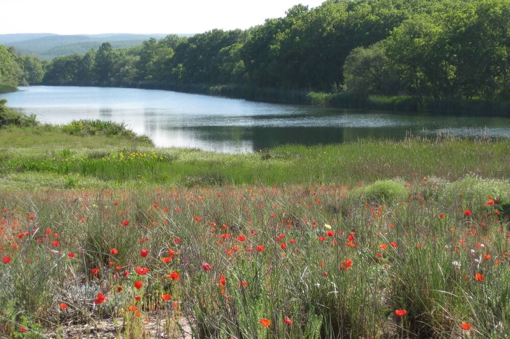 Vista esterna