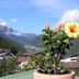 Vista esterna