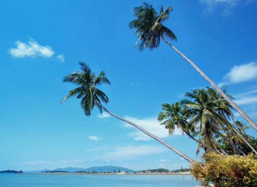 Spiaggia Foto