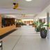 Ingresso