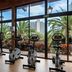 Palestra