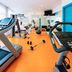 Palestra