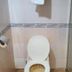 Altro