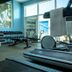 Palestra