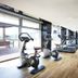 Palestra