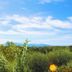Vista esterna