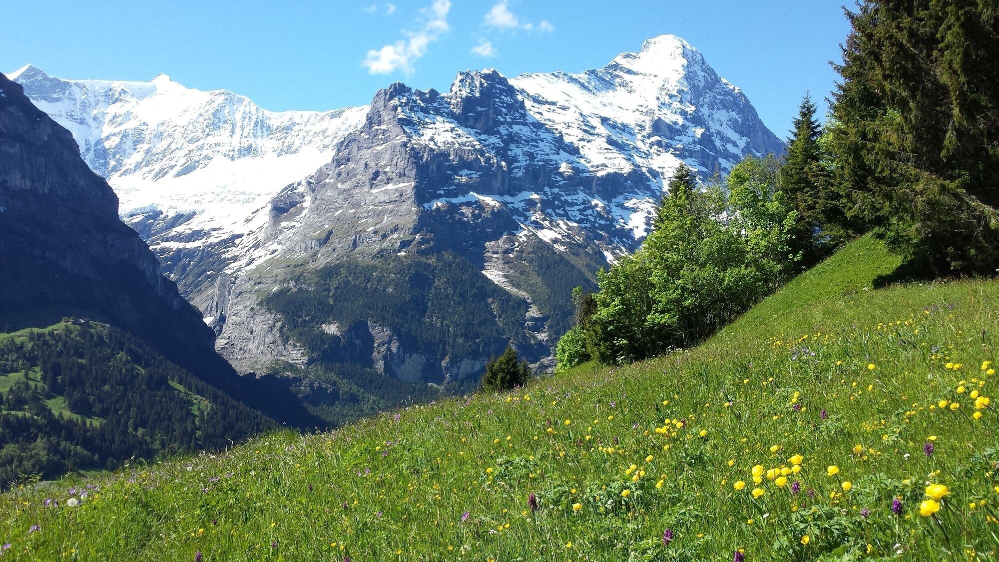 Vista esterna Foto